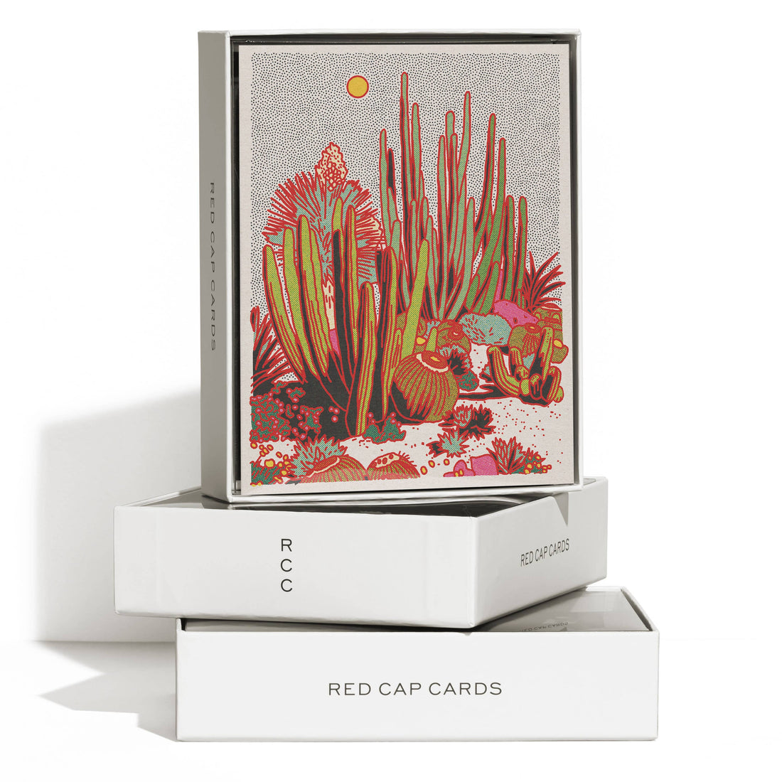 Cactus Scene everyday greeting card: Singles