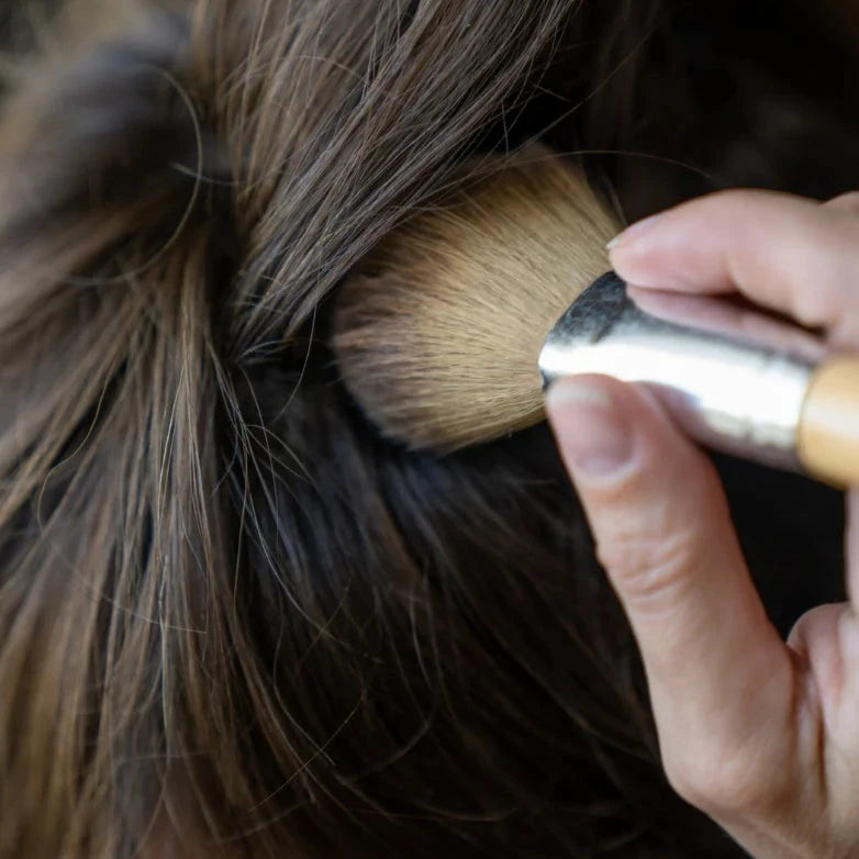 Lavender & Cocoa Dry Shampoo - 2 Oz