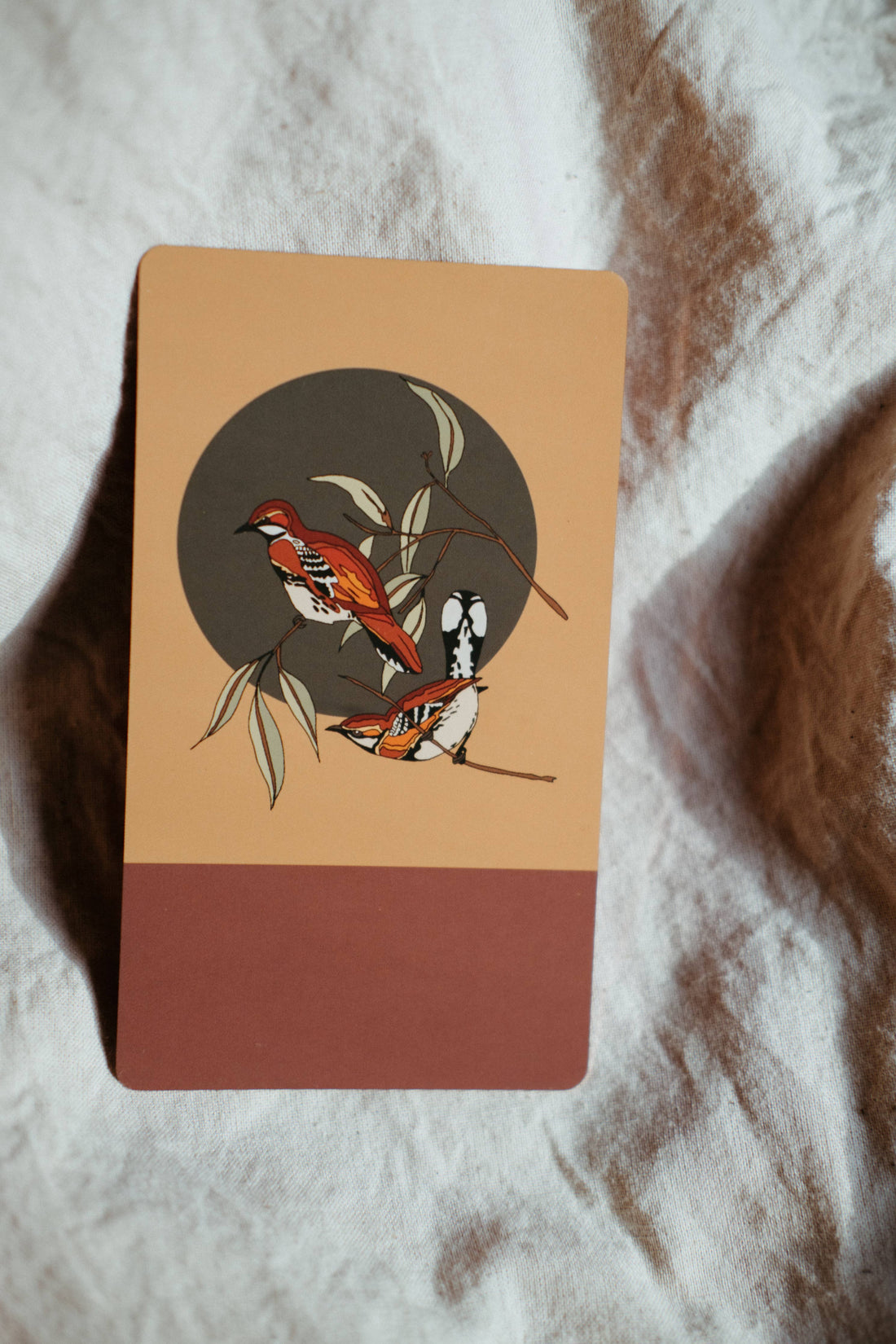 Kindred Conversations