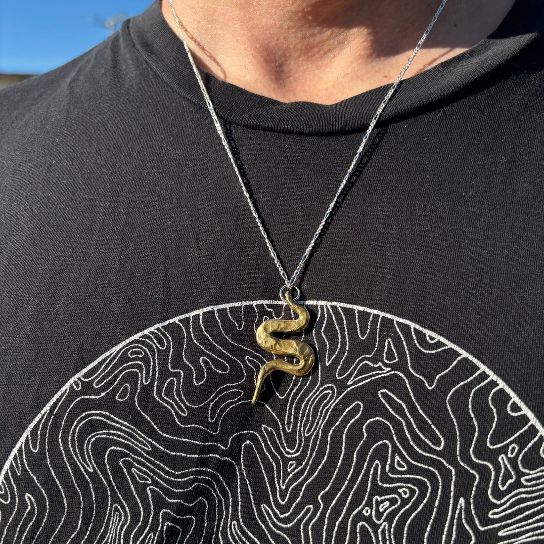 Bronze Serpent Necklace
