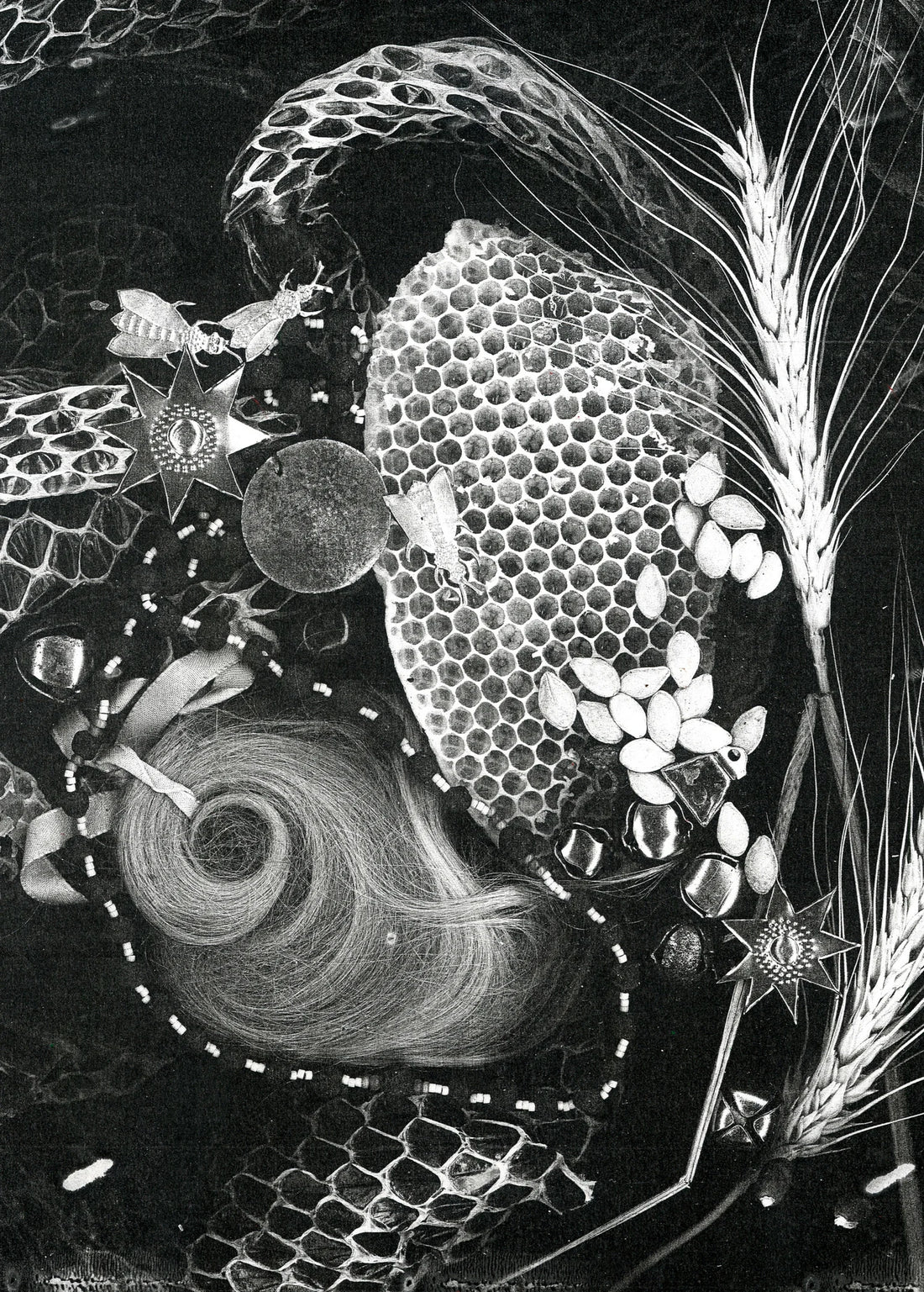 Orbiting Whorl 'Offerings' Print