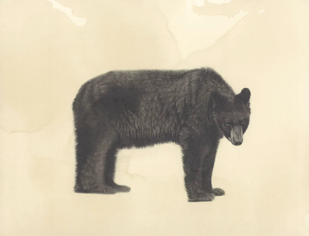 Standing Bear Print