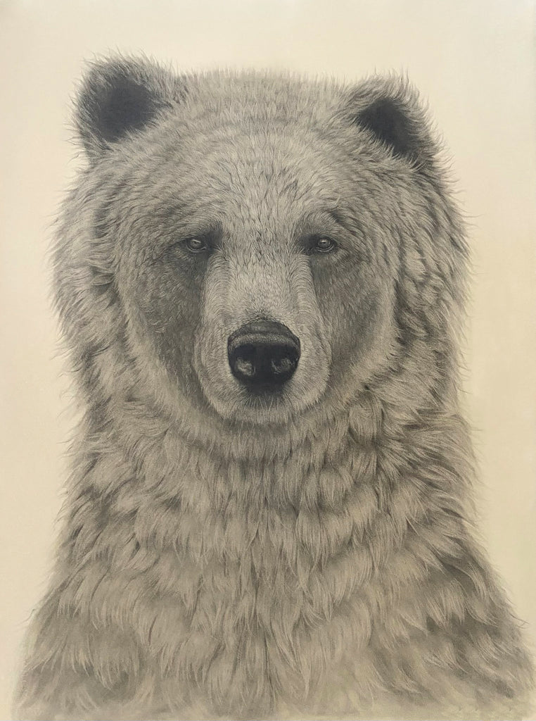 Bear Print