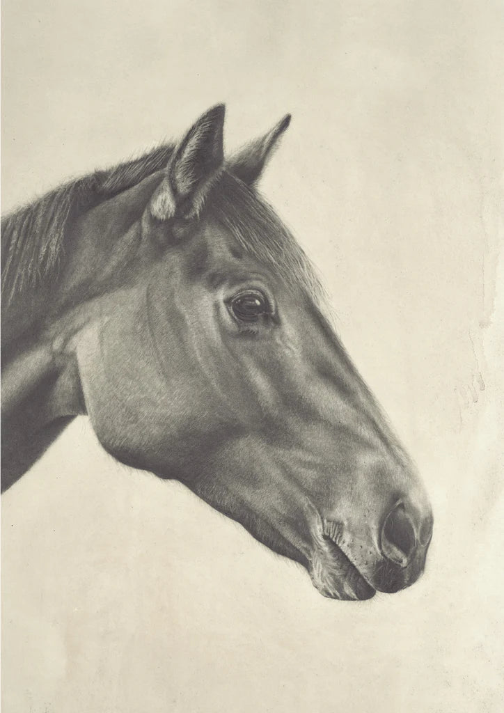 Horse II Print