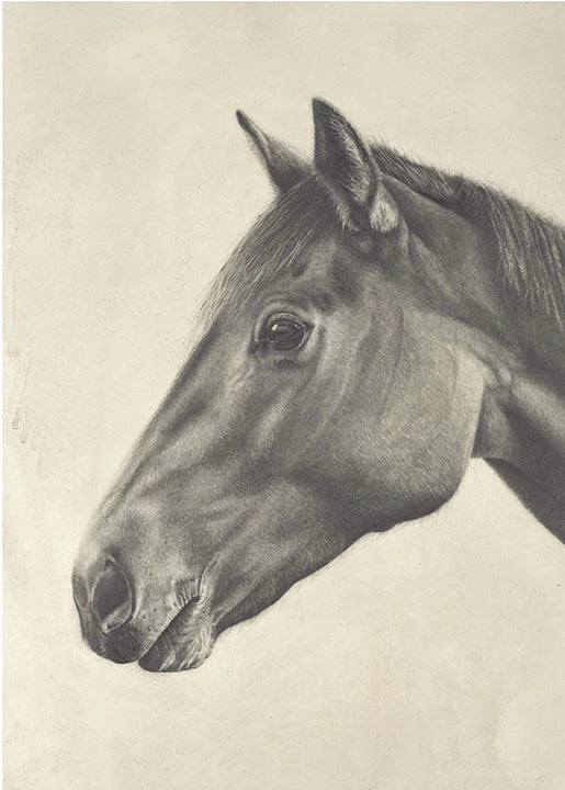Horse Print