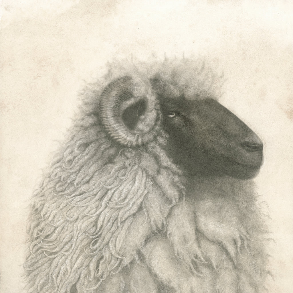 Ram Portrait Print
