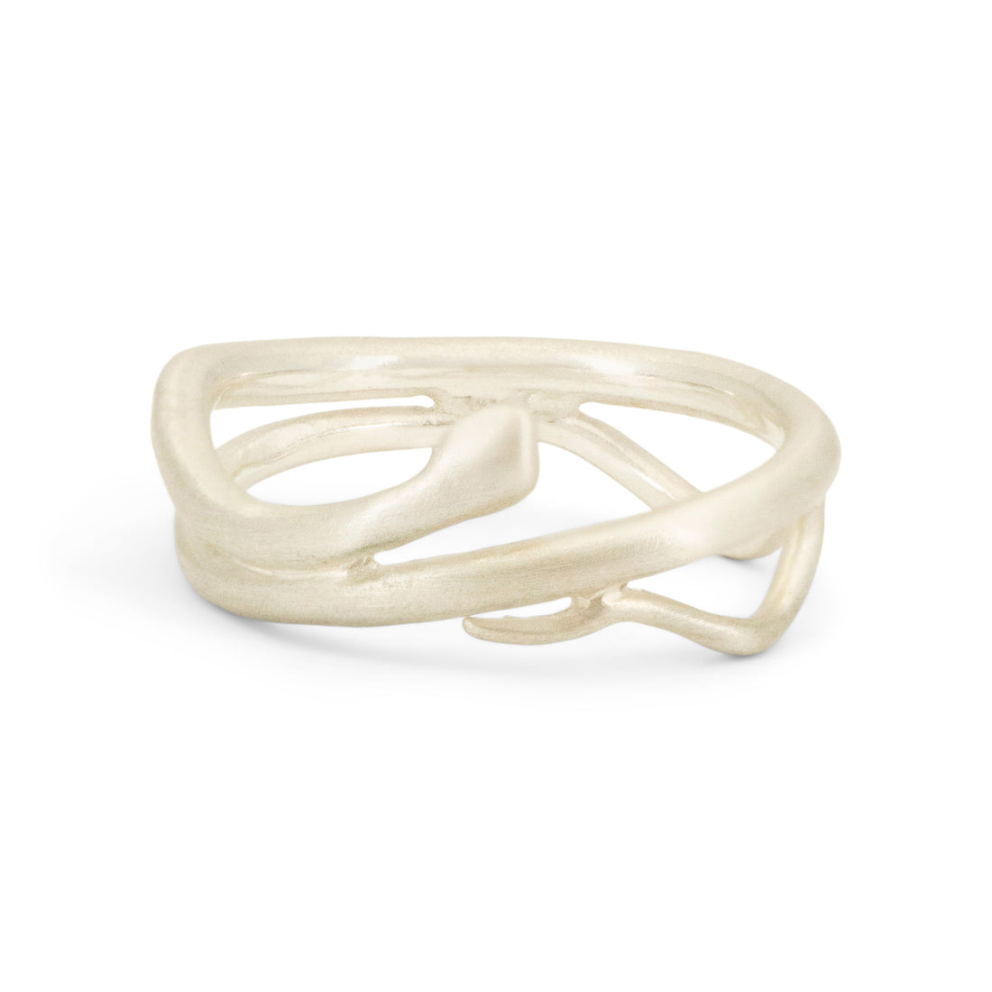 SS Ecdysis Ring