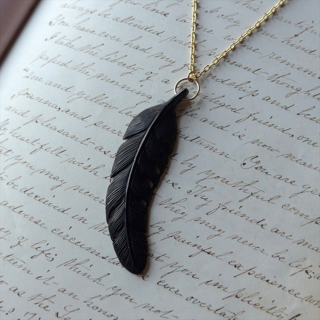 Corvus Necklace with Gold Chain