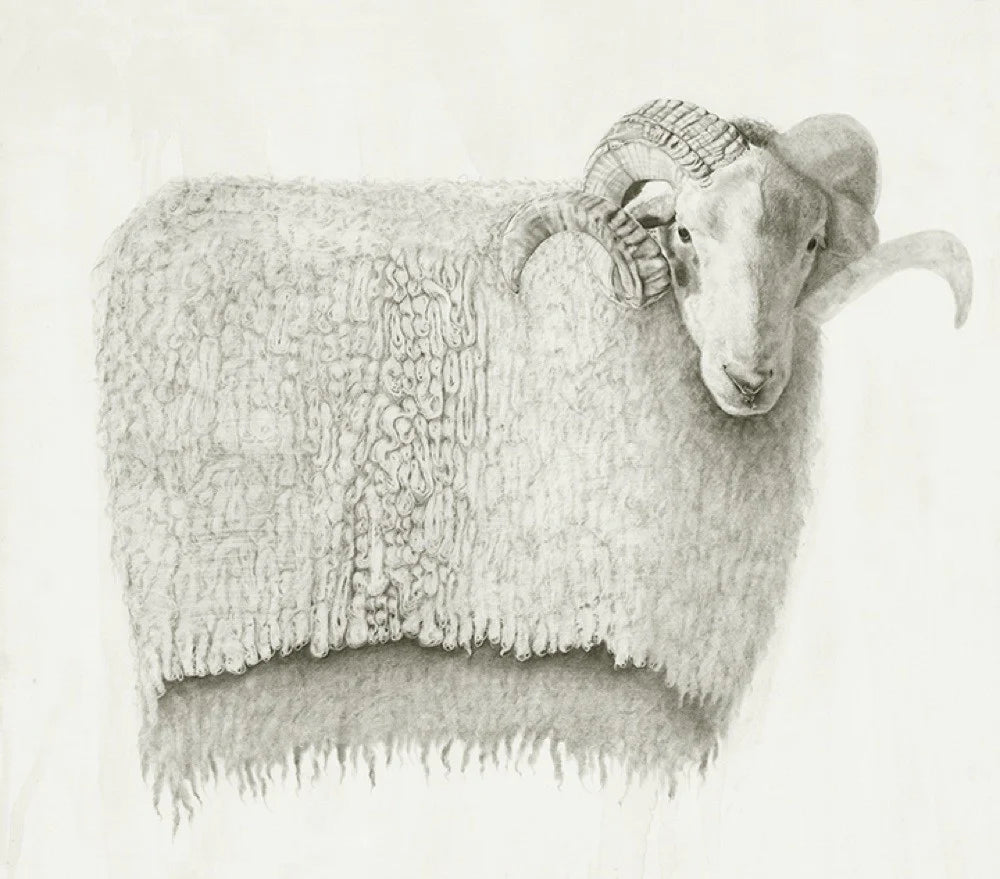 Ram Print
