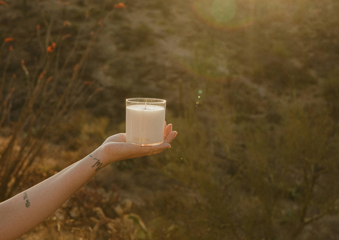 PRICKLY PEAR Medium Candle