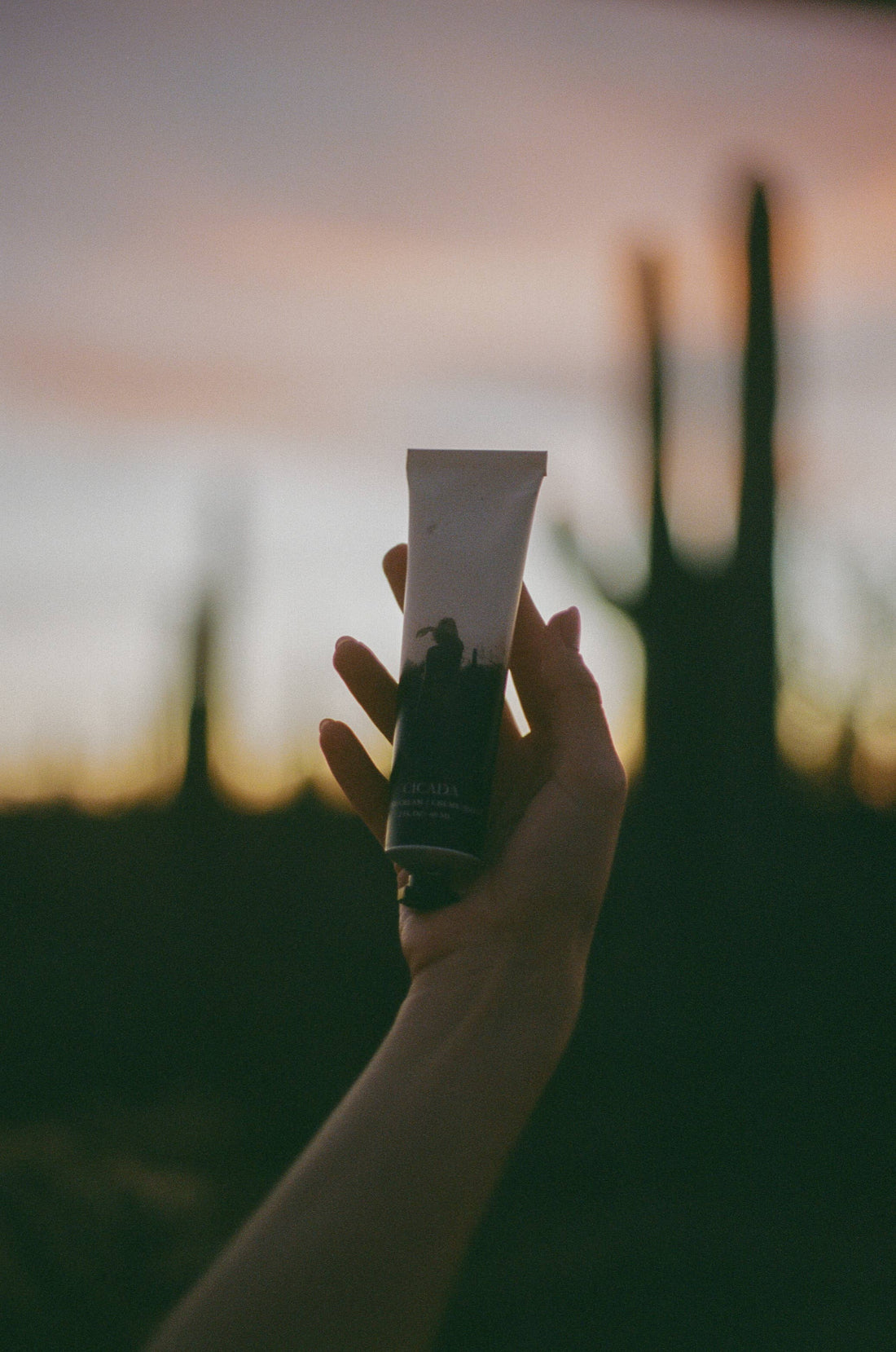 DESERT BLOSSOMS Hand Cream