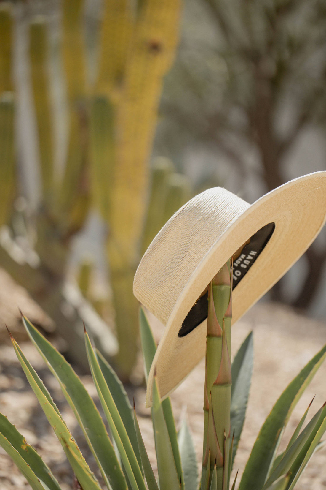 The Sunbleached Fine Palm Rancher Hat: Large