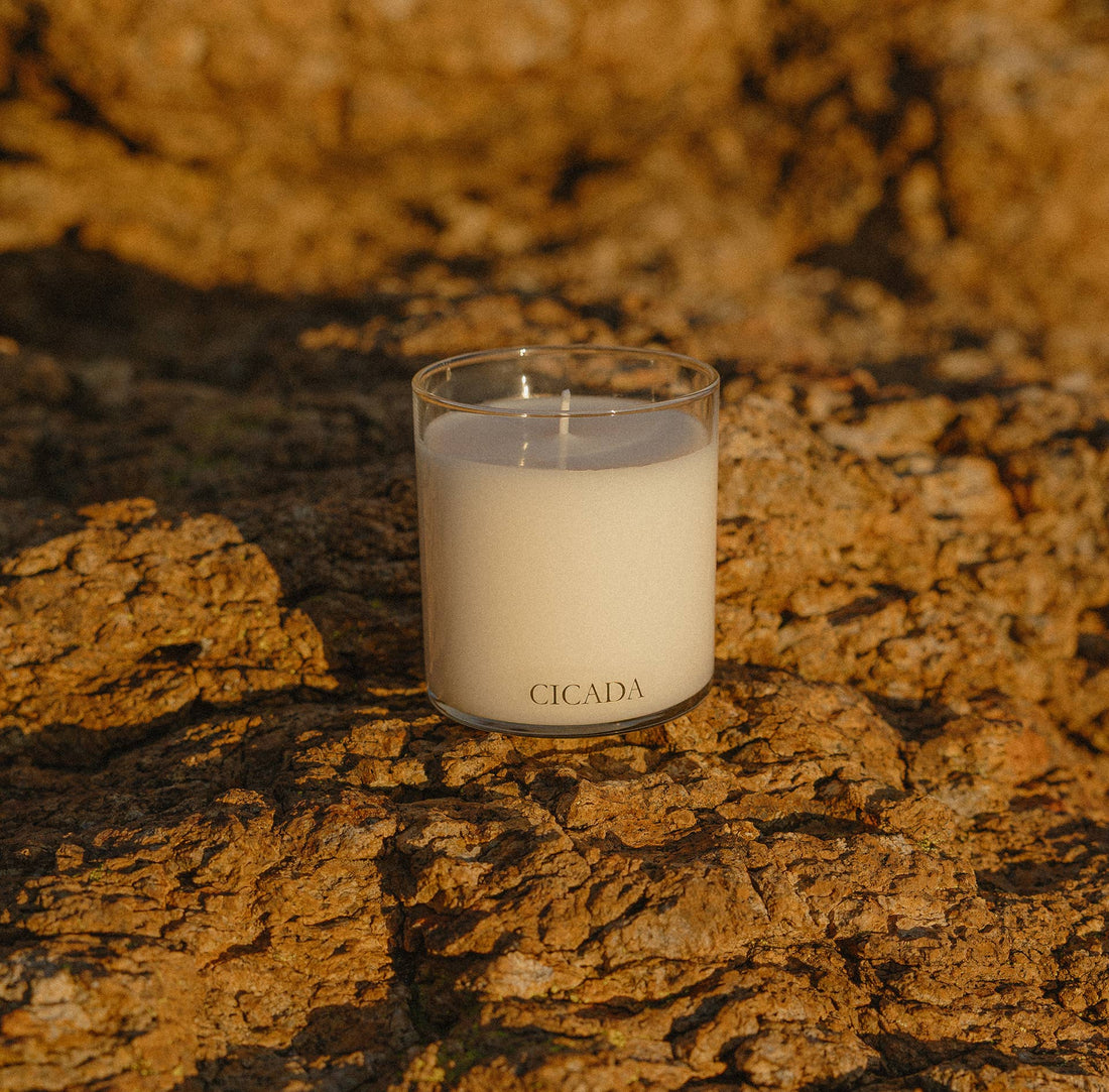 PRICKLY PEAR Medium Candle