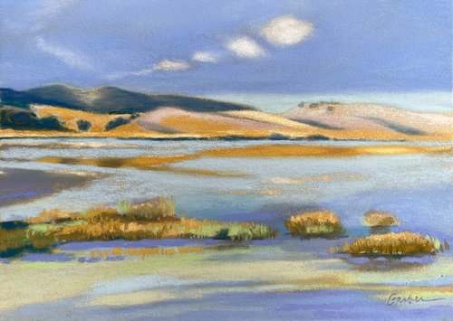 Bay Wetlands