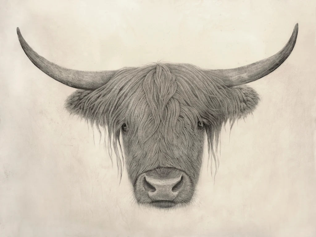 Highland