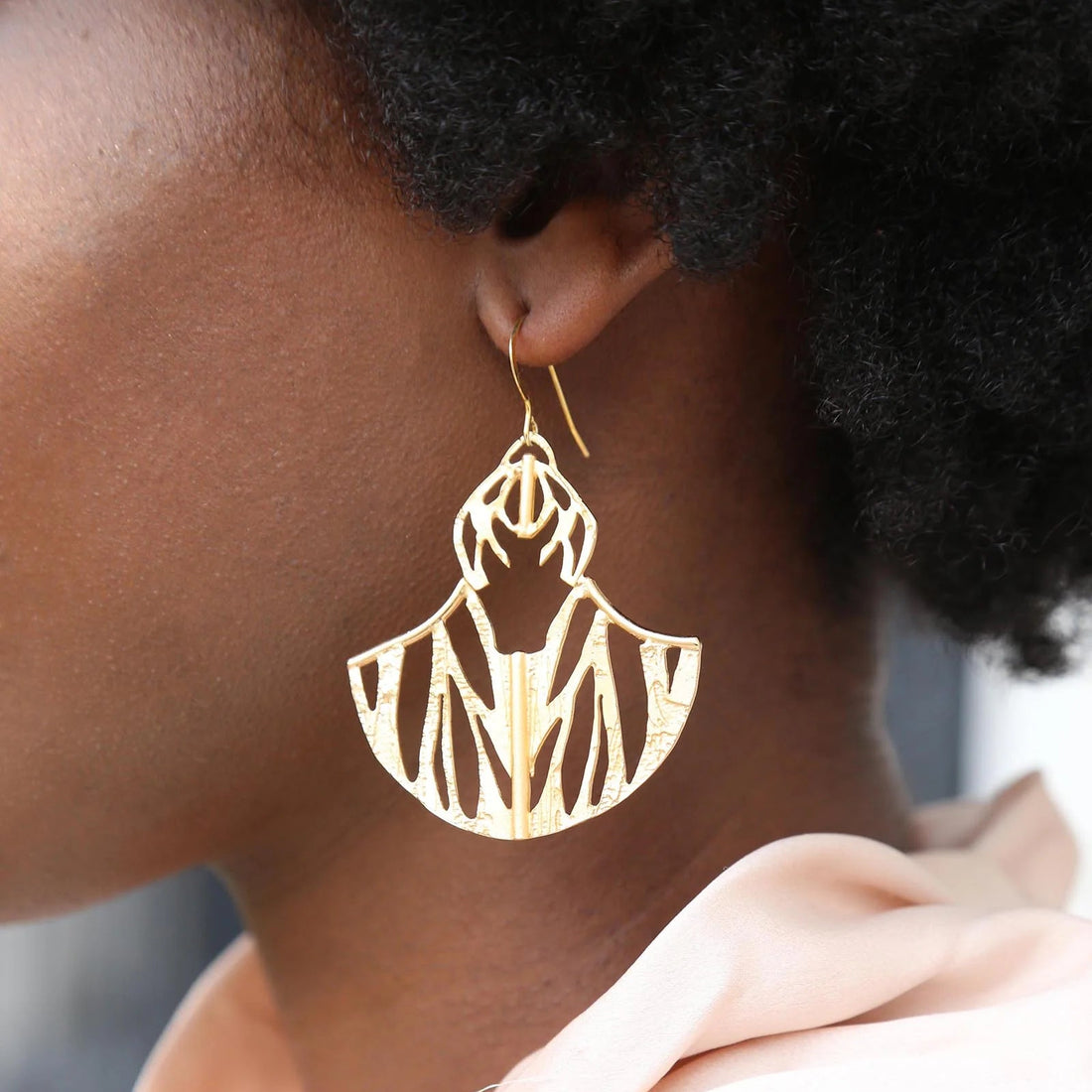 Ultrasonic Flight Etched Cutout Earrings