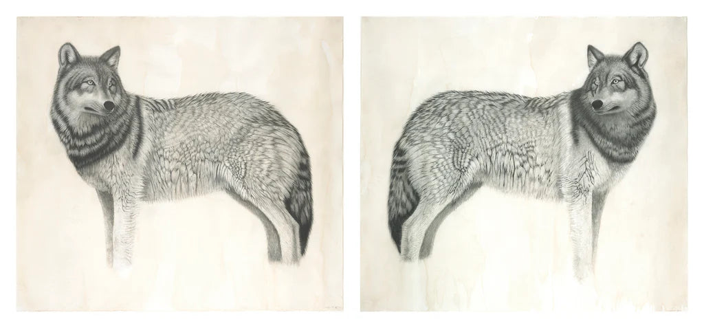 Wolf Diptych Print