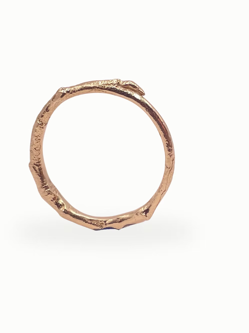 Twig Band