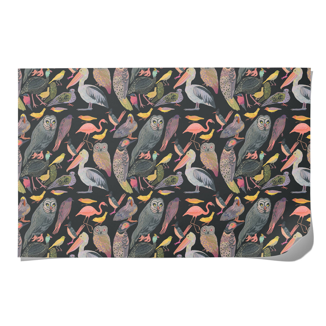 Aviary wrapping paper: Rolls of 3 sheets