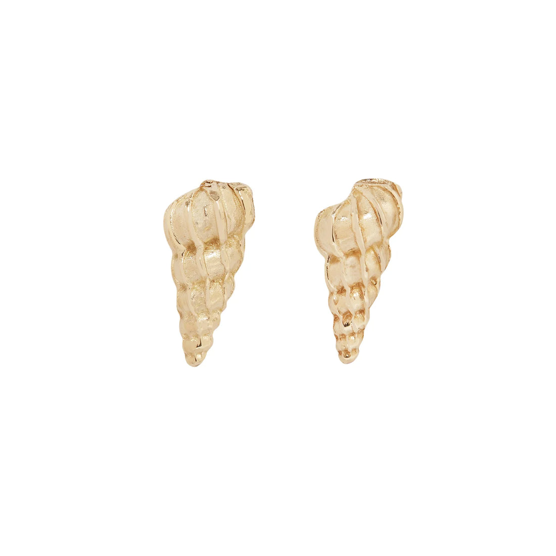Large Wentletrap Seashell Studs- 14k
