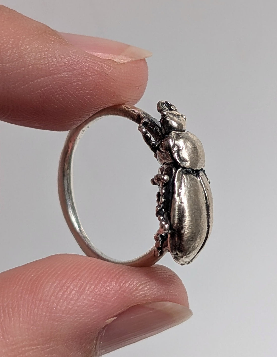 Silver Pinacate Beetle Ring