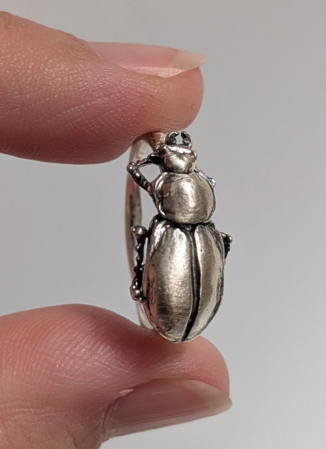 Silver Pinacate Beetle Ring