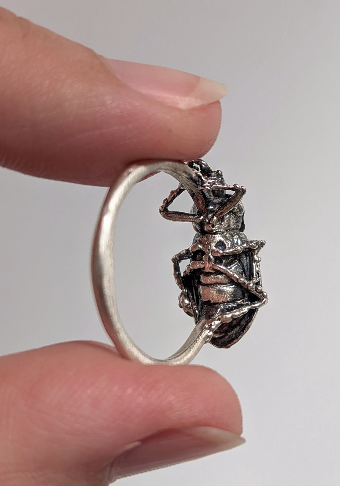 Silver Pinacate Beetle Ring