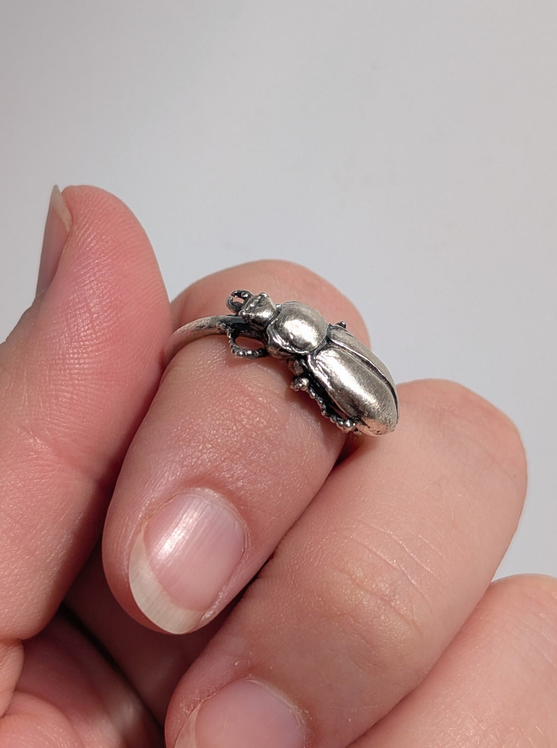 Silver Pinacate Beetle Ring