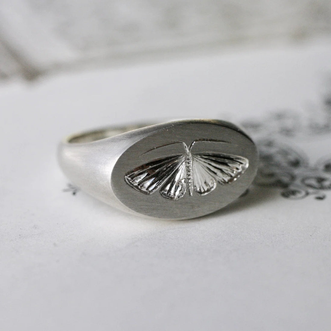 House Moth Signet Ring- Silver